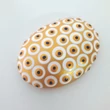 evil eye pontozott kavics -  arany